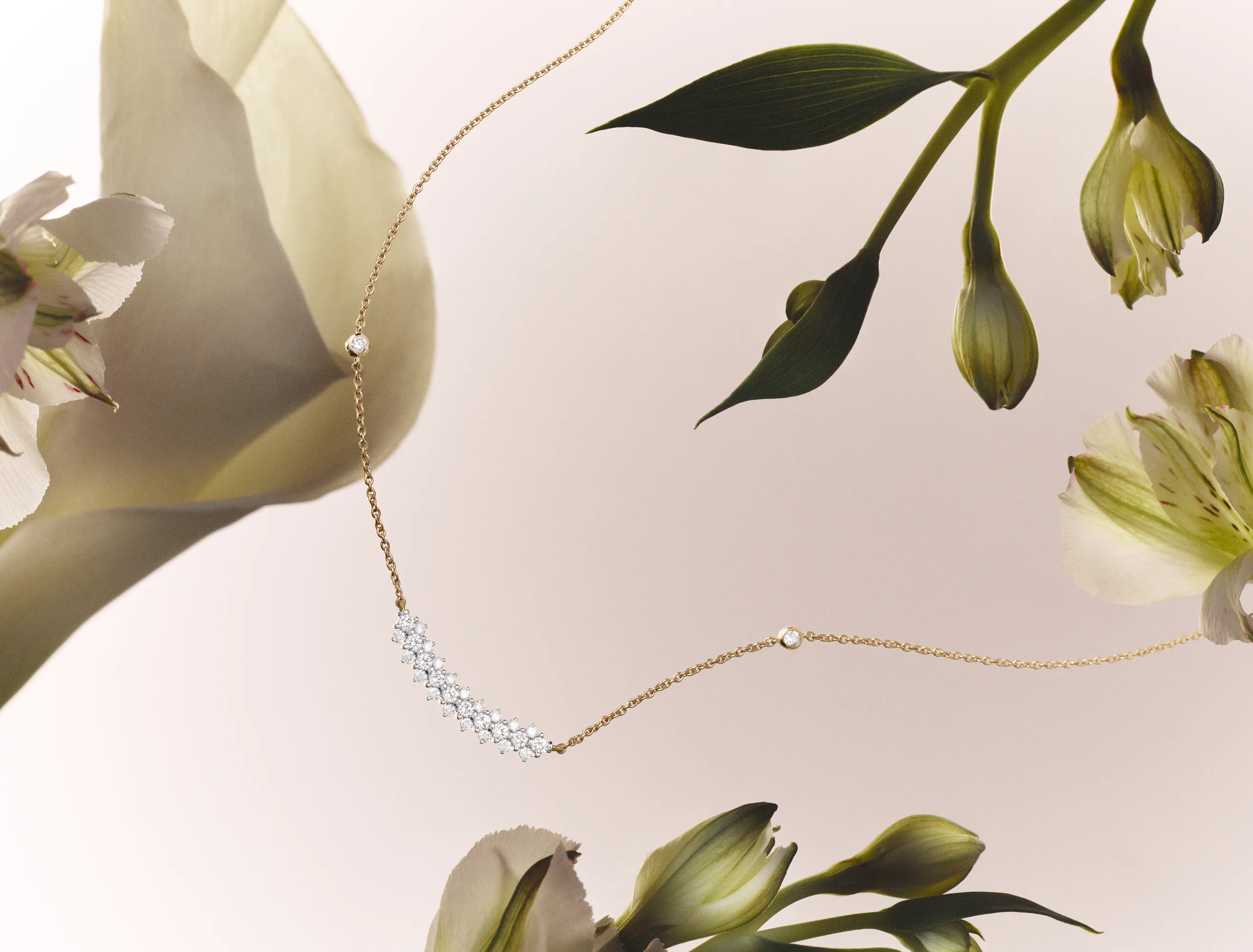 Jewellery collection