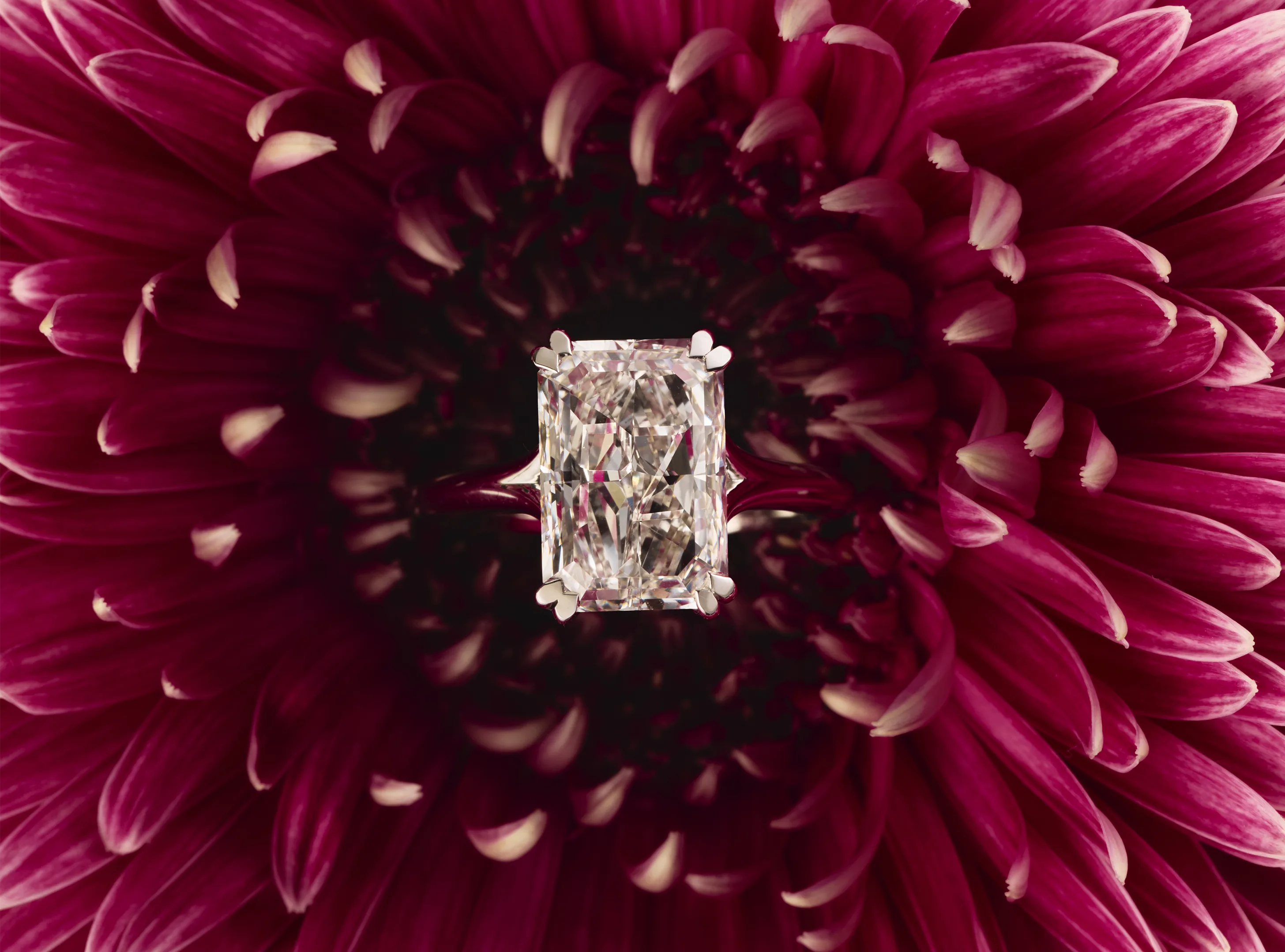 Jewellery collection