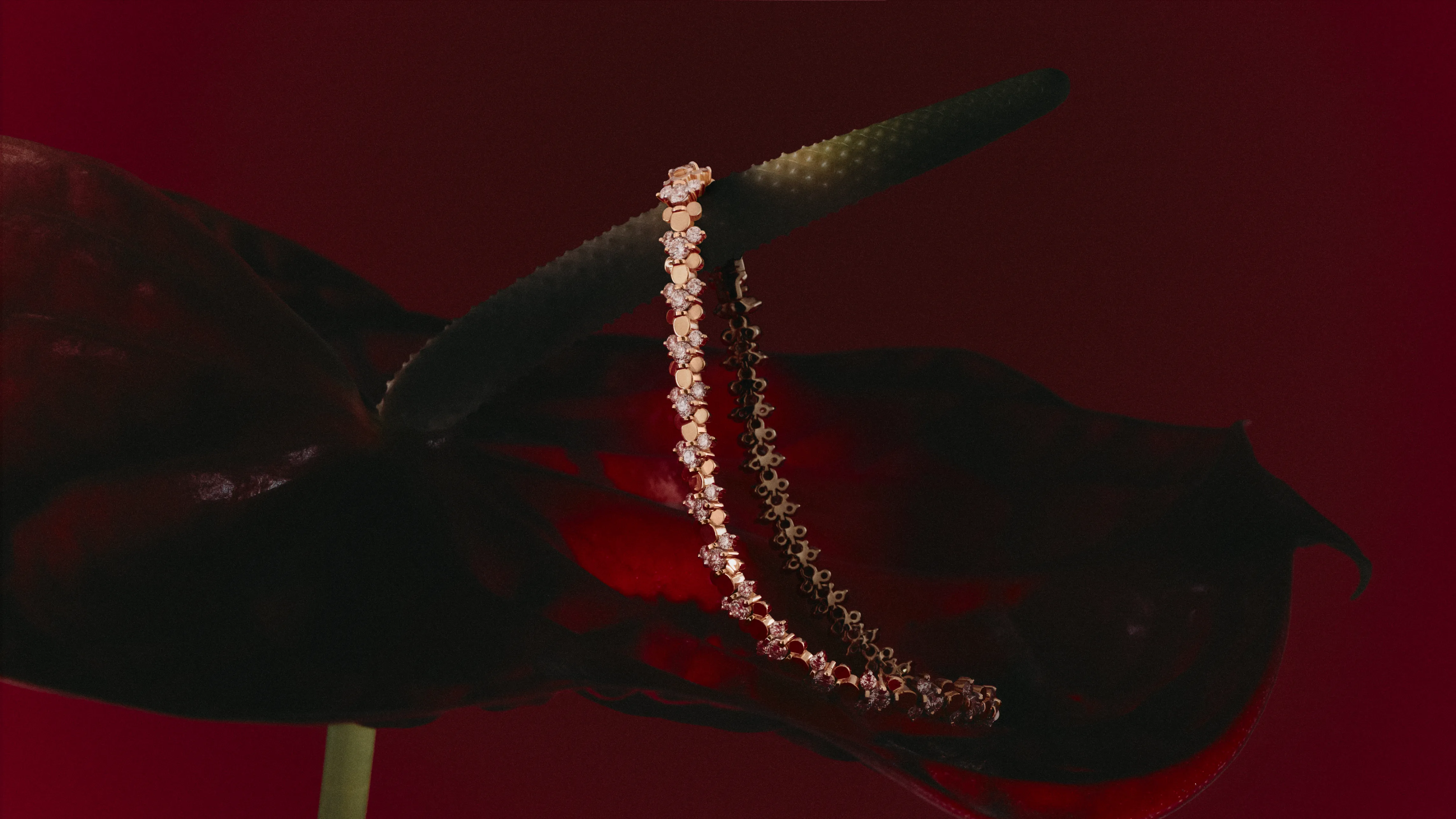 Jewelry Background